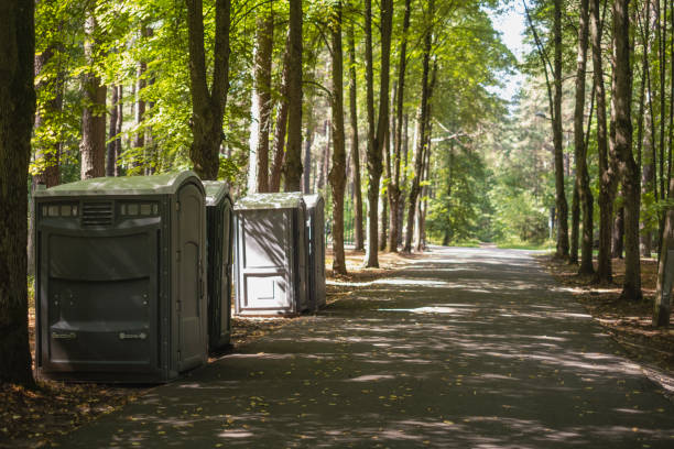 Portable Toilet Options We Offer in Polo, IL